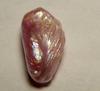 6.85 carat Lavender Natural Pearl
