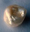 6.8 carat Natural USA Freshwater Pearl