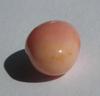 6.70 ct conch pearl