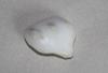 65 carat Clam Pearl