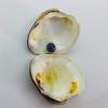 6mm Purple Quahog Pearl for Sale with Original Shell