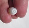 7 carat Clam Pearl with Flame Yellow and White 14mm