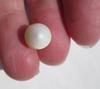 7 carat Clam Pearl with Flame Yellow and White 14mm