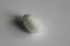 7.55 carat drop shaped clam pearl