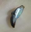 7 carats Abalone pearl Greenish Iridescence