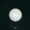 7.3ct clam pearl
