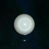 7.3ct clam pearl