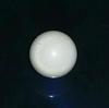 7.3ct clam pearl