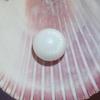 7+ ct Clam Pearl Button for Sale Button Shape