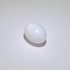 7.5 ct Oval Clam Pearl for Sale