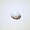 7.5 ct Oval Clam Pearl for Sale