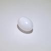 7.5 ct Oval Clam Pearl for Sale