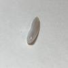 7ct USA Spike Pearl