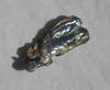 8 carat Abalone Pearl Baroque Iridescence