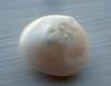 8.6 carat Natural USA Frehwater Pearl 15mm
