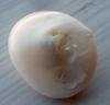 8.6 carat Natural USA Frehwater Pearl 15mm