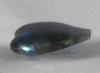 0.40 carat Iridescent Bluish Abalone Pearl for Sale