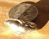 Abalone Pearl 45 carats (beside 50 cent piece) for Sale