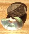 Abalone Pearl 45 carats (beside 50 cent piece) for Sale