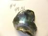 Abalone Pearl 49.96ct