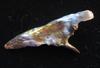 Abalone Pearl Horn Shape 55mm Long 22+ carats
