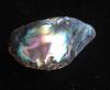Abalone Pearl Iridescence 27mm 22+ carats