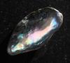 Abalone Pearl Iridescence 27mm 22+ carats