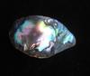 Abalone Pearl Iridescence 27mm 22+ carats