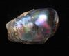 Abalone Pearl Iridescence 32mm 32+ carats