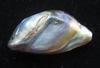 Abalone Pearl with Iridescence 10 carats 24mm