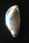 Abalone Pearl with Iridescence 10 carats 4mm