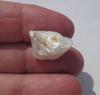 Baroque 11+ carat USA Natural Freshwater Pearl
