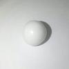 Baroque Clam Pearl 14.3 ct