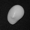 Baroque Clam Pearl 17.4 ct