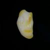 Baroque Clam Pearl 34.65 ct Baroque White and Yellow