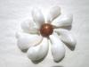 Baroque Clam Pearl Brooch Potential 68+ carats - Total (Brown center pearl not included)