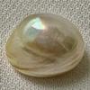Basra Natural Pearl 11+ Carat Near Button Shape 14mm