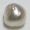Basra Natural Pearl 2.82 Carat