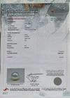 Basra Natural Pearl 7.32 Carat 11mm
