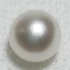 Basra Natural Pearl Button Shape Great Luster 4mm