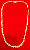 Basra Pearl Necklace from Persian Gulf 63.56 Carats