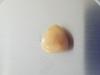11.5 carat Conch Pearl Triangle Shape
