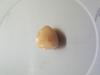11.5 carat Conch Pearl Triangle Shape