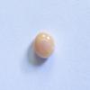 Beige Conch Pearl 1+ carat 6mm