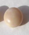 Beige Conch Pearl 3.55 carats Button Shape