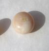 Beige Conch Pearl 3.55 carats Button Shape