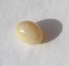 Beige Conch Pearl Oval 1.90 carat