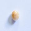Beige Oval Conch Pearl 1+ carat 7mm 