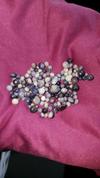 Blue Mussel Pearls - Assortment