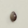 Blue Mussel Saltwater Pearl Drop Shape
